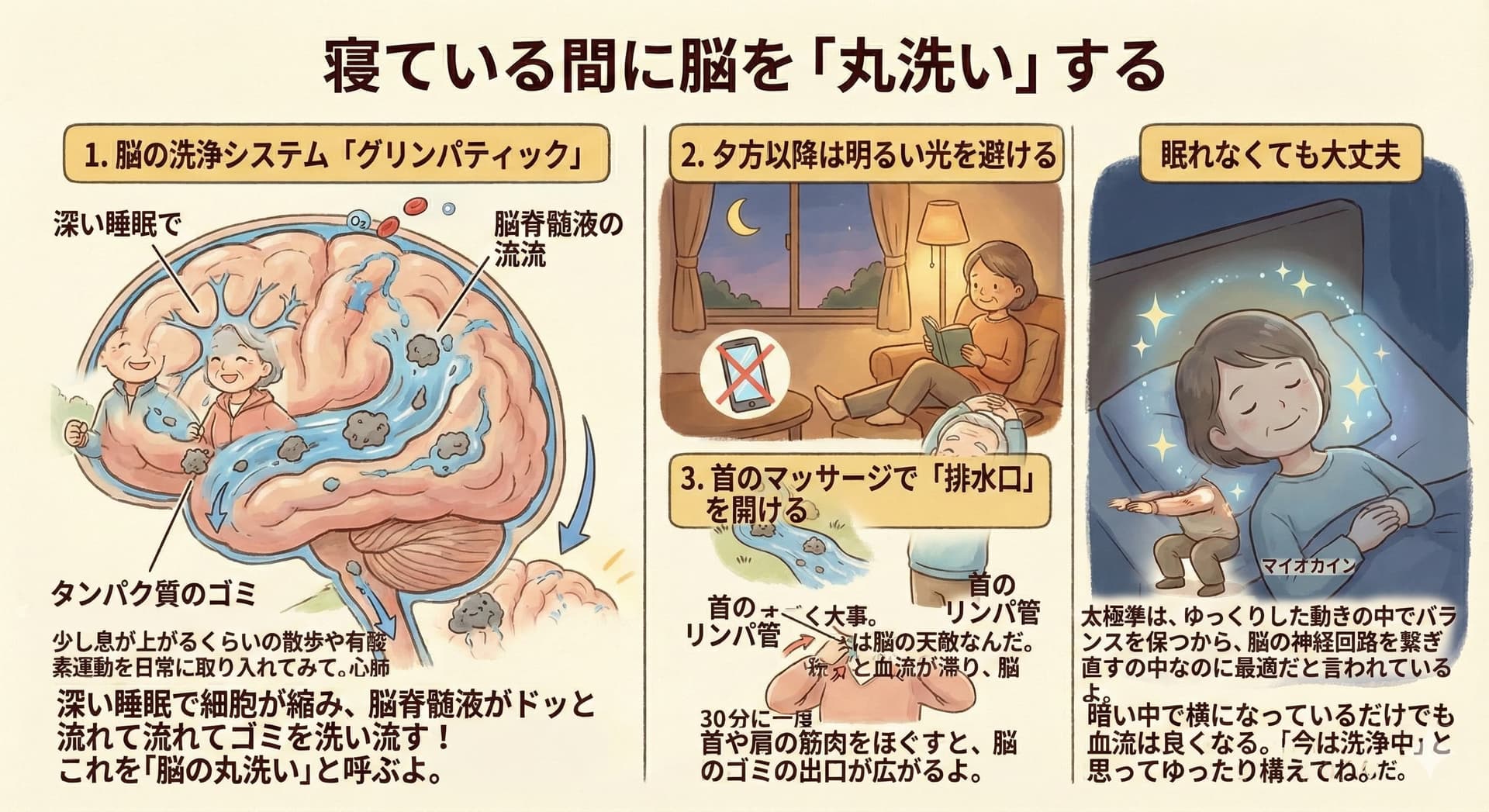 睡眠で脳を丸洗い